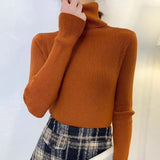 Black High-Neck Knitted Bottom Shirt Autumn And Winter Model Of Long Sleeves With A Female Sweater Slimming Clothes