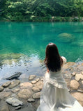 French Pure Lust Lotus Leaf Side Small Flying Sleeve Fairy Dress Spring And Summer New Irregular Hem Chiffon Long Skirt