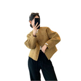 Short Small Round Collar Hair Coat Coat Double-Sided Cashmeat Autumn Winter Wool Blazer Blazer Woman