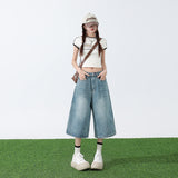 Light Blue Seven-Legged Jeans Women's Summer 2025 New Pear-Shaped Loose Thin Straight Trousers