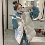 Autumn And Winter 2025 New Down Cotton Vest Women's Korean Version Of Loose Short Outer Wear Horse Clip Vest Women's Coat