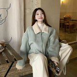 Korean Lamb Plush Fur Coat Female Autumn Winter Temperament High-Grade Small Fragrant Wind Thick Warm Top