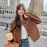Maillard Coat Women's Spring And Autumn 2026 New Thin Design Embroidered Velvet Jacket Casual Top