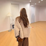Lazy Wind Environmental Protection Lamb Wool Coat Women Autumn And Winter Short Loose Thick Fur Integrated Leisure Age Reduction Top