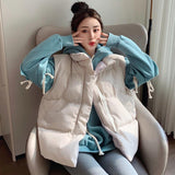 Autumn And Winter 2025 New Down Cotton Vest Women's Korean Version Of Loose Short Outer Wear Horse Clip Vest Women's Coat