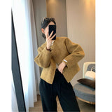 Short Small Round Collar Hair Coat Coat Double-Sided Cashmeat Autumn Winter Wool Blazer Blazer Woman