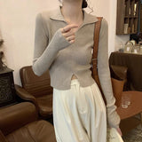 Over-Necked Bottom-Up Shirt Women's Autumn And Winter High-End Feel-Tuned Sweater With Polo Collar Knitted Small Short Top