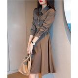 Spring And Autumn Temperament Long-Sleeved Dress Women's Summer New French Niche Collection Waist Thin POLO Collar Long Skirt