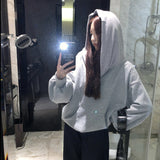 High-End Temperament Solid Color Hooded Hoodie Women Autumn 2025 New Loose Thin Niche Chic Top