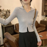 Over-Necked Bottom-Up Shirt Women's Autumn And Winter High-End Feel-Tuned Sweater With Polo Collar Knitted Small Short Top